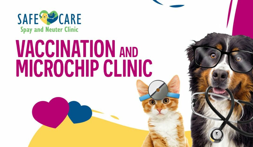 Vax & Chip on June 28!