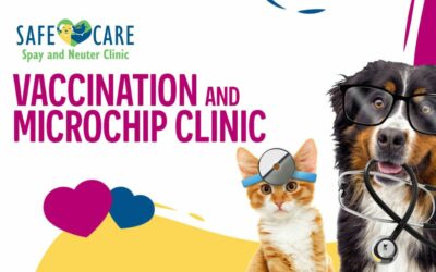 Vax & Chip on June 28!